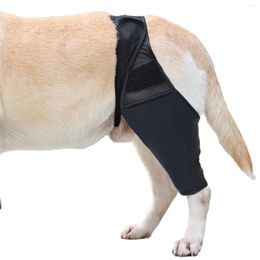Dog Apparel Pet Knee Pads Support Brace For Right Left Leg Hock Joint Wrap Breathable Injury Recover Legs Protector