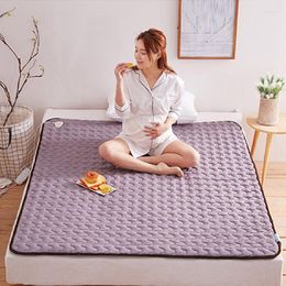 Blankets Winter Heated Bedspread Electronic Sheet Throw Sofa Aesthetic Thermal Blanket Body Plaid Cover Heating Pad Electric Heater