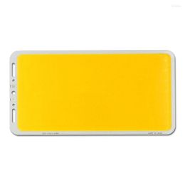 Panel Super Bright 24V 12V COB Light Board For Indoor Outdoor Lighting Blue Warm Cool White Colour Waterproof Lamp