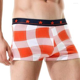 Underpants Men Plaid Cotton Sexy Comfortable Boxer Erotic Print Breathable Sport Underwear