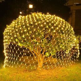 Strings 6mx4m 3x2m LED Fairy String Net Lights Christmas Tree Garland Xmas Garden Patio DIY Wedding Decoration Curtain Light EU/US/Solar