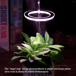 Grow Lights LED Light Garden Lamp Durable Succulents Plants Growth Lighting USB Phytolamp Indoor For Flowers
