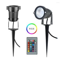 Single Bead 3W 3 / 9W Full Color RGB Garden Floor Lamp Cob Colorful Lawn Landscape Av220v