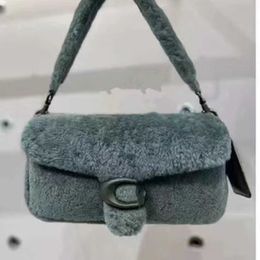 Shoulder Bags Wool Women 2022 New Autumn Versatile Crossbody Tablet Small Design Lamb Plush One malachite green