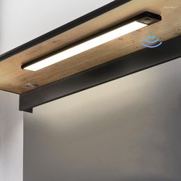Night Lights 20 40CM Ultra-thin LED Cabinet Lighting Motion Sensor Light USB Rechargeable For Kitchen Bedroom Wardrobe 3 Colours