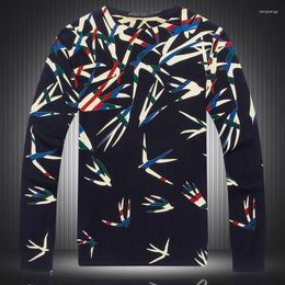 Men's Sweaters Chinese Style Swallow Pattern 3d Printing Streetwear Knit Sweater Spring 2022 Quality Soft Smooth Elastic Men M-XXXL