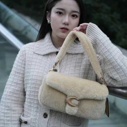 Shoulder Bags Wool Women 2022 New Autumn Versatile Crossbody Tablet Small Design Lamb Plush One milky white