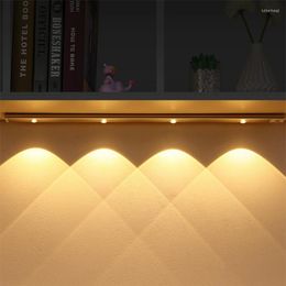 Night Lights Ultra Thin LED Light 20/30/40/60CM Cabinet Lamp PIR Motion Sensor Wireless USB Rechargeable Closet Kitchen Lighting