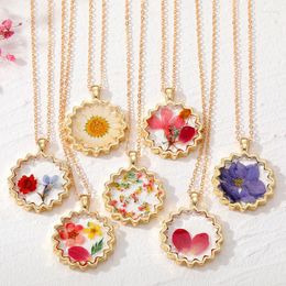 Pendant Necklaces Sun Natural Daisy Dried Flower Necklace For Women Romantic Eternal Real Rose Leaf Plant Clavicle Chains Choker Wedding