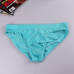 Underpants Men's Elephant Nose Briefs Ultra Thin Ice Silk Translucent Panties Low Waist Underwear Tight Buttock Lifting Elastic