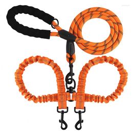 Dog Collars One Tow Two Double Head Pet Traction Rope Reflective Elastic Nylon Big Chain Supplies