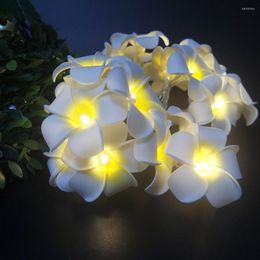 Strings Handmade Frangipani LED String Lights Battery PE Floral Holiday Lighting Event Party Garland Decoration Flower Arrangement