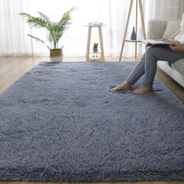 Carpets Grey Living Room Large Carpet Hall Coffee Table Floor Mat 160x230 Children's Bedroom Long Hair Fluffy Covering Rugs