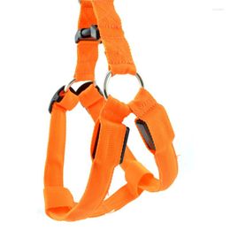 Dog Collars Nylon Pet Safety LED Harness Product Flashing Light Leash Rope Belt Collar Vest Supplies