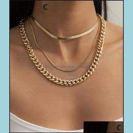 Chains Simple Elegant Punk Style Thick Chain Neck For Creative Fashion Metal Snake Bone Mtilayer Necklace Female Jewellery Chains Drop Dhcju