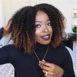 Hair Lace Wigs Short Explosive Head Small Curl Wig Headgear