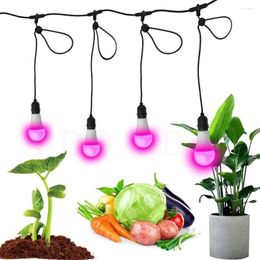 Grow Lights LED Light Bulb For Indoor Plants Full Spectrum E27 PhytoLamp 220V UV Lamp Hydroponic Growth Seedlings