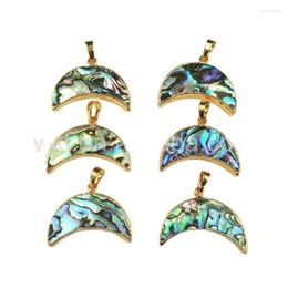 Pendant Necklaces WT- P885 Single Bails Abalone Shell Paua Jewellery With 24k Gold Trim Chain