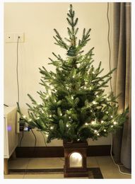 Christmas Decorations Eco-friendly Small Family Tree 1.2 M Children's Decorative Illuminated Basin Encryption