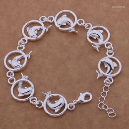 Link Bracelets AH036 Wholesale Lucky Silver Colour Charm For Women Fashion Jewellery All The Dolphins /ebwamtda Aefaivma