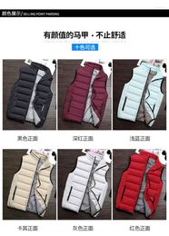 Men's Vests 2022 Late Autumn And Early Winter Men's Down Vest Cotton Jacket All-match High-neck Zipper Trend To Keep Warm