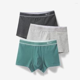 Underpants Men's Cotton Breathable Plus Code Flat Corner Pants Young Boys Summer Fashion Middle Waist Unmarked Comfortable Panties