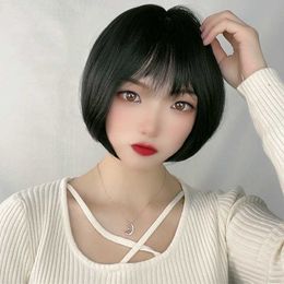 Hair Lace Wigs Korean Short Straight Hair Bobo Flat Bangs Chemical Fibre Wig Female Head Set