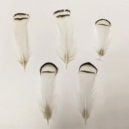 Headpieces Whosale 200Pcs/Lot 6-10 CM LOOSE Lady Amherst Pheasant Tippet Feathers For Wedding Hats DIY Hair Accessories