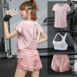 Gym Clothing Sport Short For Women Sportswear Workout Clothes Hollow Back Design T-shirt Bra Set Run Quick Dry Sports Suit 3 Pieces