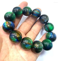 Strand 16mm Natural Mexican Multicolor Amber Beads Bracelet 7.5" Certificate