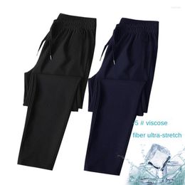 Men's Pants Ice Silk Casual Men's Summer Thin Elastic Sports Loose Straight Quick Drying Breathable Trend Air Conditioning