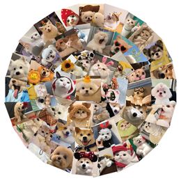 50PCS Graffiti Skateboard Stickers Pets Cat Dogs For Car Laptop Ipad Bicycle Motorcycle Helmet PS4 Phone Kids Toys DIY Decals Pvc Guitar Sticker