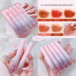 Lip Gloss 5pcs/lot Water Glossy Glasting Tint Colour Lasting Comfort Lips Makeup Liquid Lipstick Women Cosmetics TSLM1