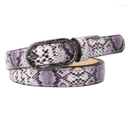 Belts High Quality Female Pu Leather Snake Skin Waist Belt Women Designer For Women's Dress Cinto Feminino