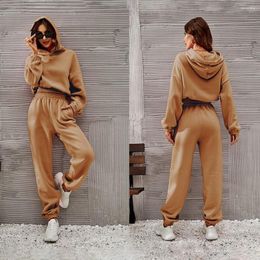 Women's Two Piece Pants Women's Tracksuits Long Sleeve Hoodie Elastic Waist Pockets Straight Outfit Autumn Winter Hooded Cropped