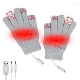 Cycling Gloves USB Heating Full Finger Mitten Touchscreen Mittens For Hiking Skiing