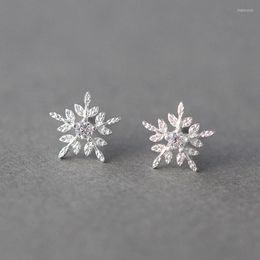 Stud Earrings 925 Silver Fashion Women's Snowflake Crystal Luxury Wedding Gift In The Year