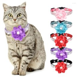 Dog Collars Flower Cat Collar Bow Tie Suede Puppy Necklace With Bell Pearl For Small Dogs Female Kitten Chihuahua Yorkie Girl Clothes
