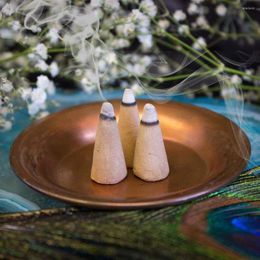 Fragrance Lamps 10pcs Holy Wood Incense Cone Shape Flavor Home Meditation Natural Scent Aroma For Bedoom Fresh Air