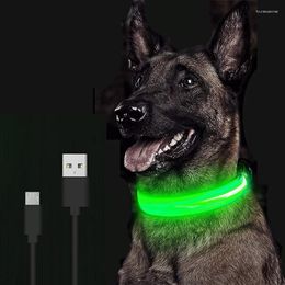 Dog Collars LED Glowing Collar Rechargeable Luminous Adjustable Large Night Light Pet Safety For Small Dogs Cat