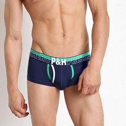 Underpants Sporty Fashion U - Bag Cotton Stretch Underwear For Men Men's Wholesale