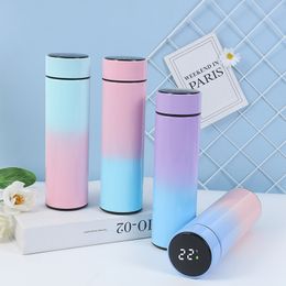 Water Bottles Intelligent Stainless Steel Thermos Temperature Display Vacuum Flasks Coffee Cup Gifts garrafa termica agua 221018