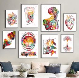 Wall Canvas painting Medical Education Office Picture posters Teeth mouth Human Anatomy Muscle System Art Print Watercolour Humans Figure Painting No Frame