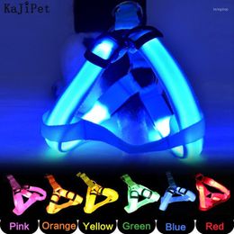 Dog Collars Pet Supplies Nylon Safety LED Harness Product Adjustable Flashing Light Leash Rope Belt Collar Vest For Dogs