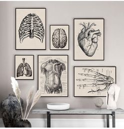 Nordic Canvas Print Education Painting Modern Decor Human Anatomy Artwork Medical Wall Picture Muscle Skeleton Vintage Poster Humans Figure Painting No Frame