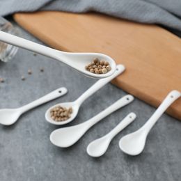 Coffee Scoops 50pcs 8cm 10cm 12cm 13cm Porcelain Mini Spoon Spice Coffee Ceramic Spoons 221107