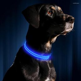 Dog Collars Usb Charging Led Luminous Adjustable Anti-Lost/Avoid Car Accident Night Light Safety Dogs Collar Pet Accessories