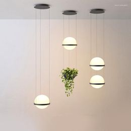 Pendant Lamps Palma Suspension Lamp Modern Led Nordic Black Light Restaurant Living Room Bedroom Bar Decor Plant Glass