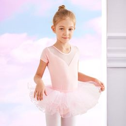 Stage Wear Ballet Bodysuit Girls Dance Costume Skirt Kids Leotards Tutu Dancing Clothes Training DanceWear Gymnastics Leotard