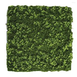 Decorative Flowers 40cm Micro Landscape Hang Wall Artificial Moss Grass Plant Lawn Home 2022